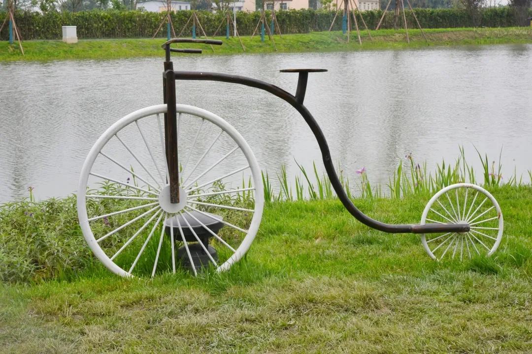 瑙呰叮灏忛晣褰窞,瑙呰叮灏忛晣宕囧窞