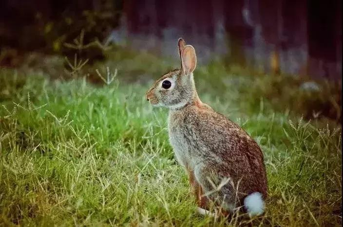 广东附近旅游度假,广东周边度假小镇
