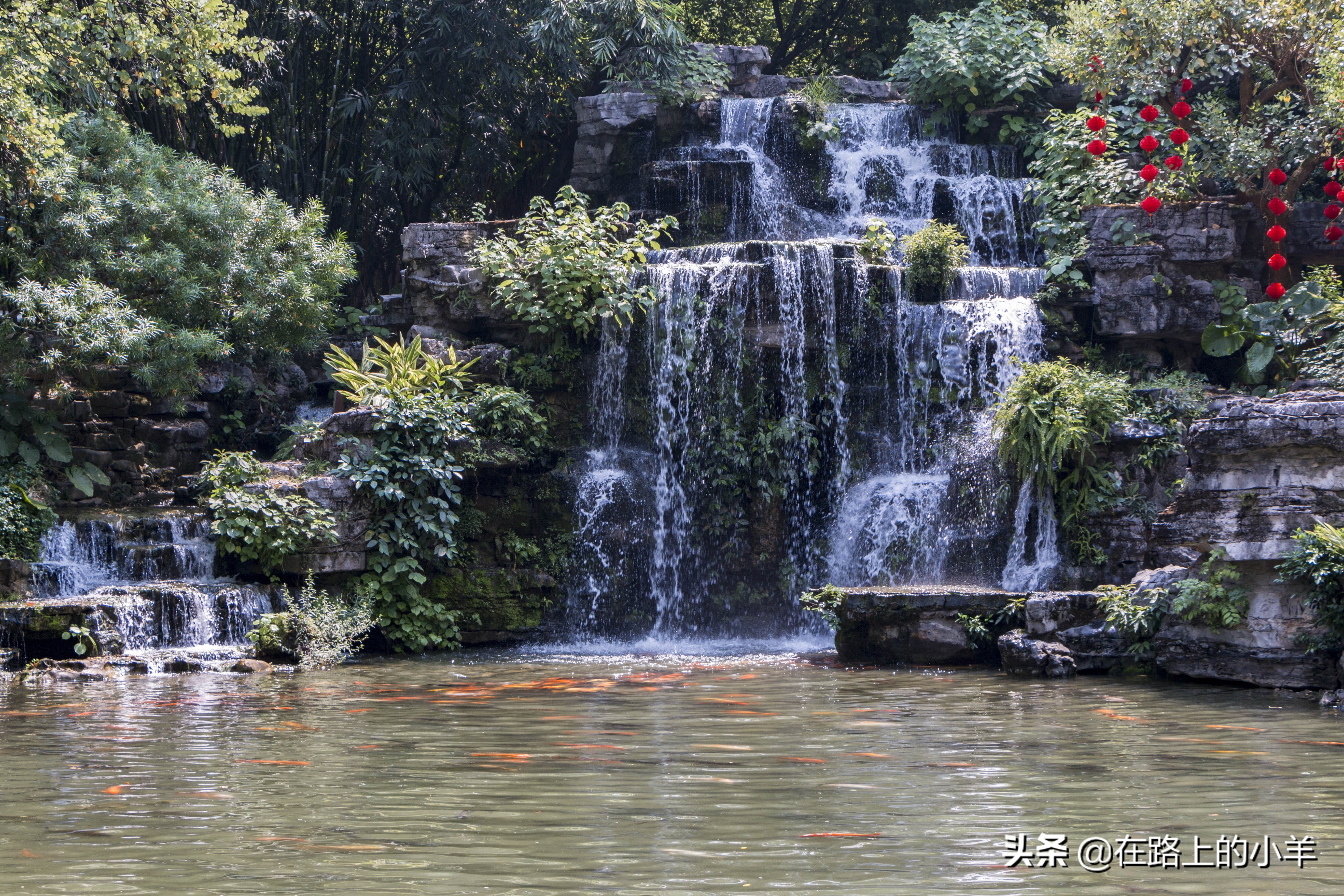 柳州公园游览攻略,柳州国家森林公园攻略