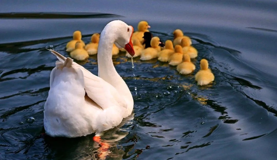 向往的大外|带你一起看大外