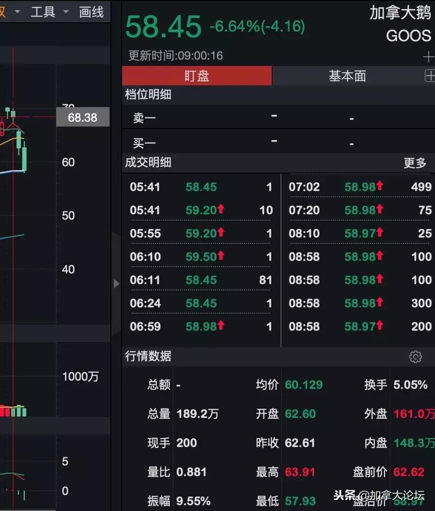 加拿大鹅犯错事件,加拿大鹅面临的处罚