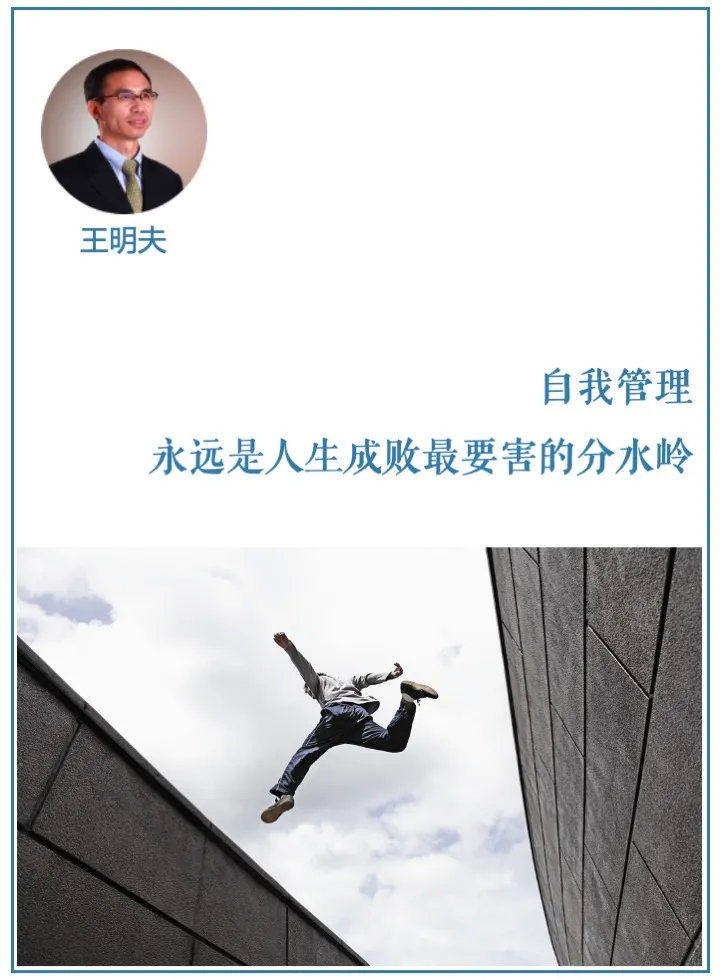 摩尔庄园的网游,摩尔庄园网游