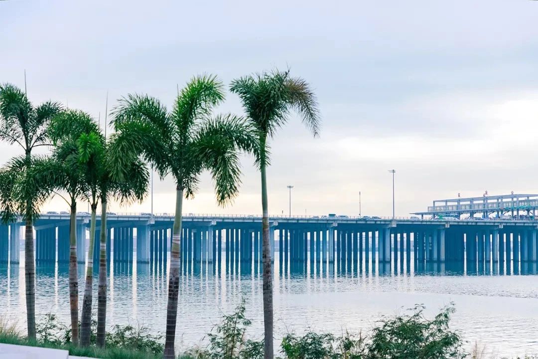 深圳看海去哪里比较好,深圳出地铁就看海的地方是哪里