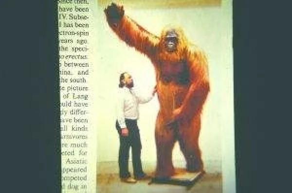 地球最大动物蓝鲸两百吨体重,地球最大的动物是什么动物