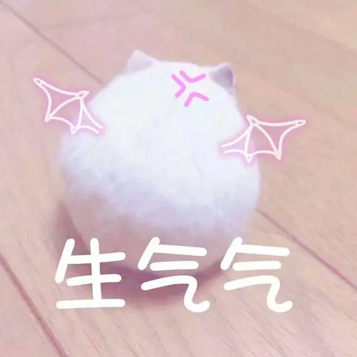 哪些官方旗舰店是假的,哪些旗舰店是冒牌的