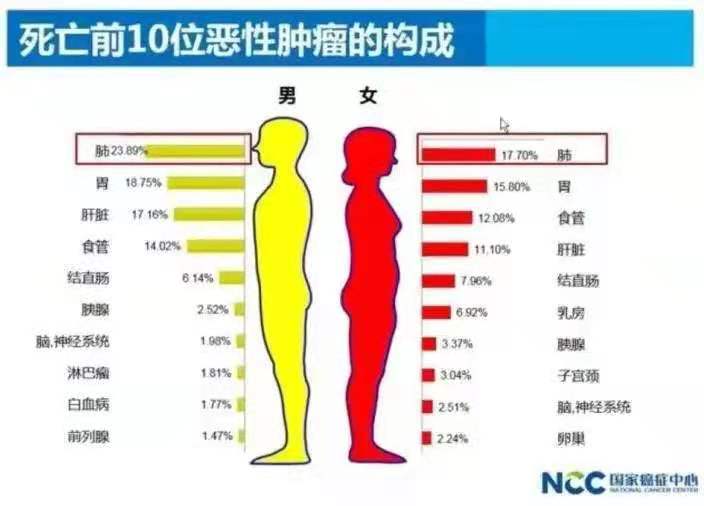 宫颈癌的科普知识宣传图片,hpv科普hpv感染与宫颈癌
