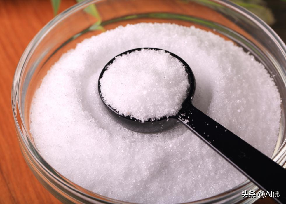 狗哪些食物不适合吃,不适合狗狗的食物