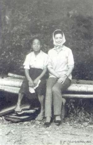 这部《人民日报》安利的“黄片”，揭露了近代日本最羞耻的一面