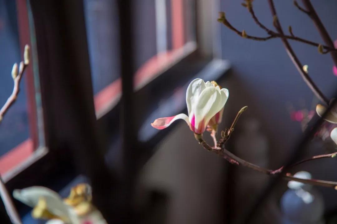 看透世态炎凉的诗词,看透了人情冷暖世态炎凉的诗句