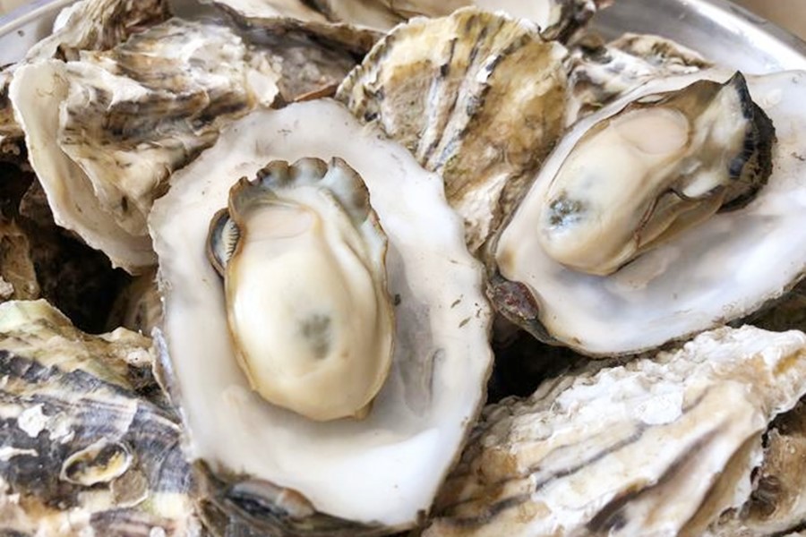 生蚝煮几分钟口感最好,煮生蚝时一般煮几分钟
