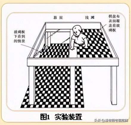 教招考试题目有哪些,教招考试有哪些题型