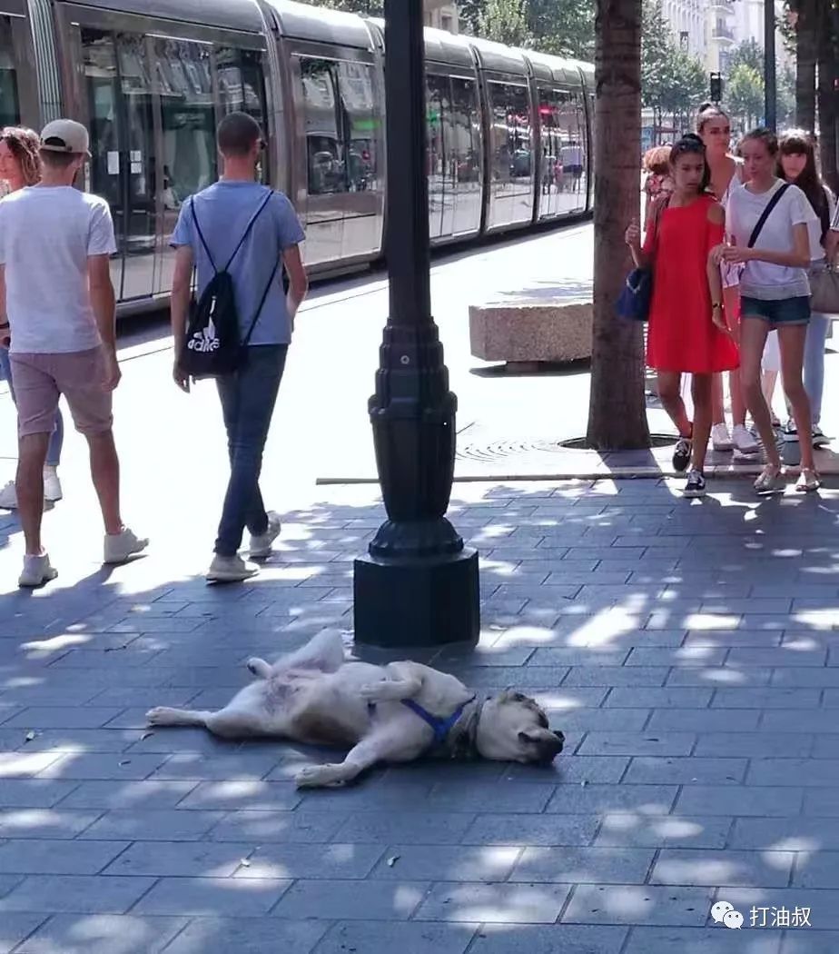法国尼斯和蔚蓝海岸,尼斯海滩蔚蓝海岸