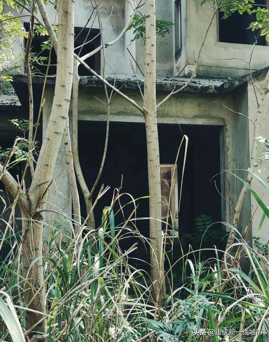 荒野求生之神秘洞穴,荒野求生神秘洞穴