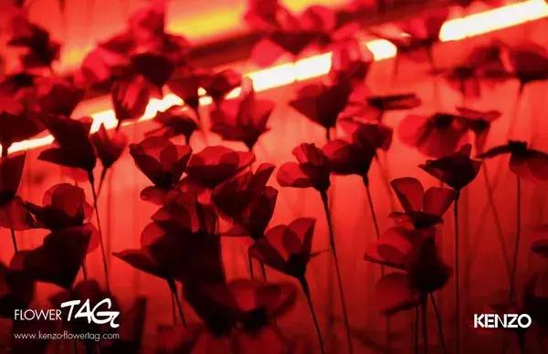 鏃ユ湰娼墝鎼厤,婕绌挎惌