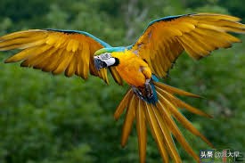 黄沙百战穿金甲介绍,黄沙百战穿金甲服饰