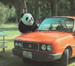 2020年摄影点评部分低分照片合集（下）（前方大量熊猫出没）