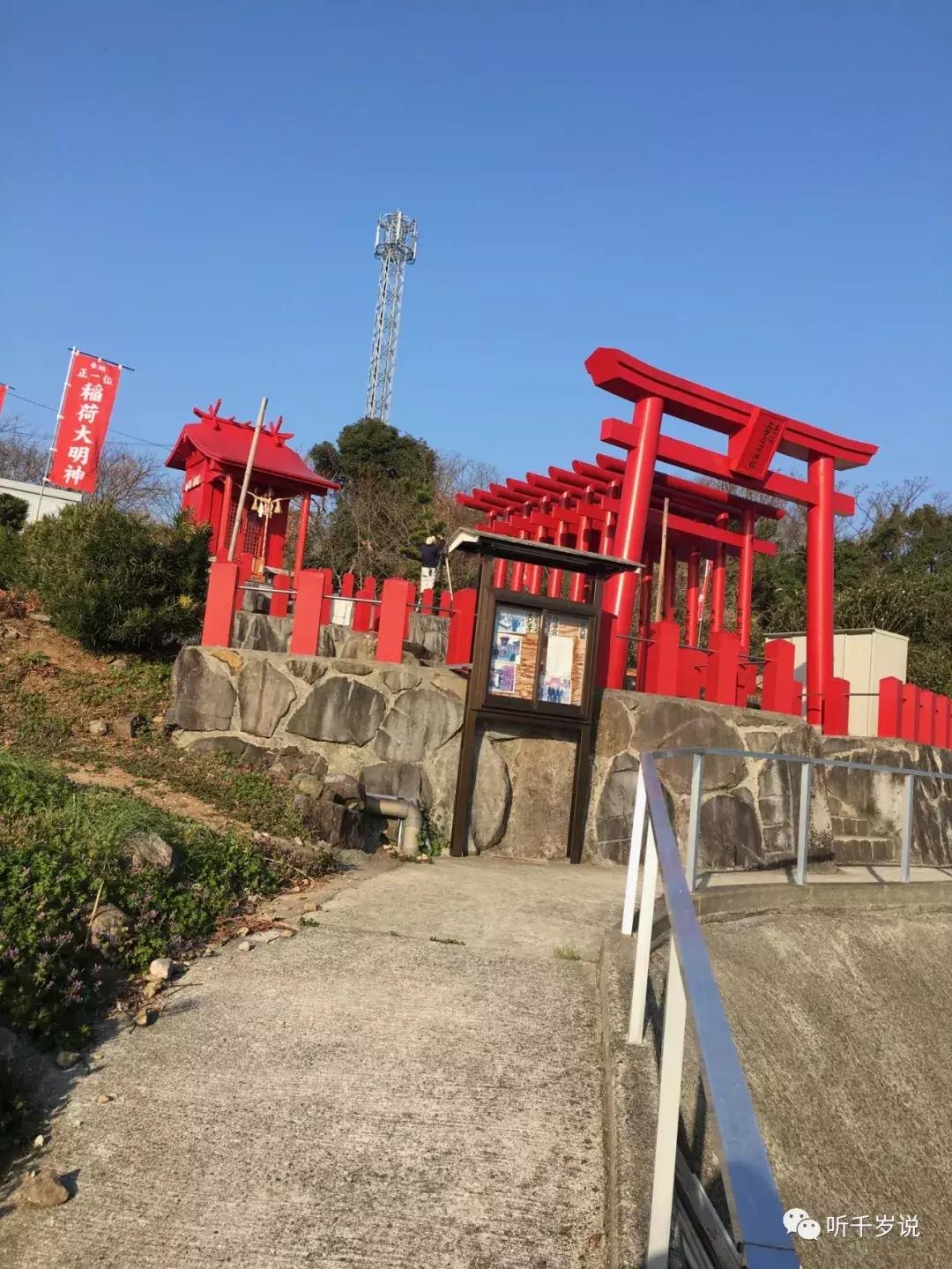 日本东京熊本熊,日本熊本游