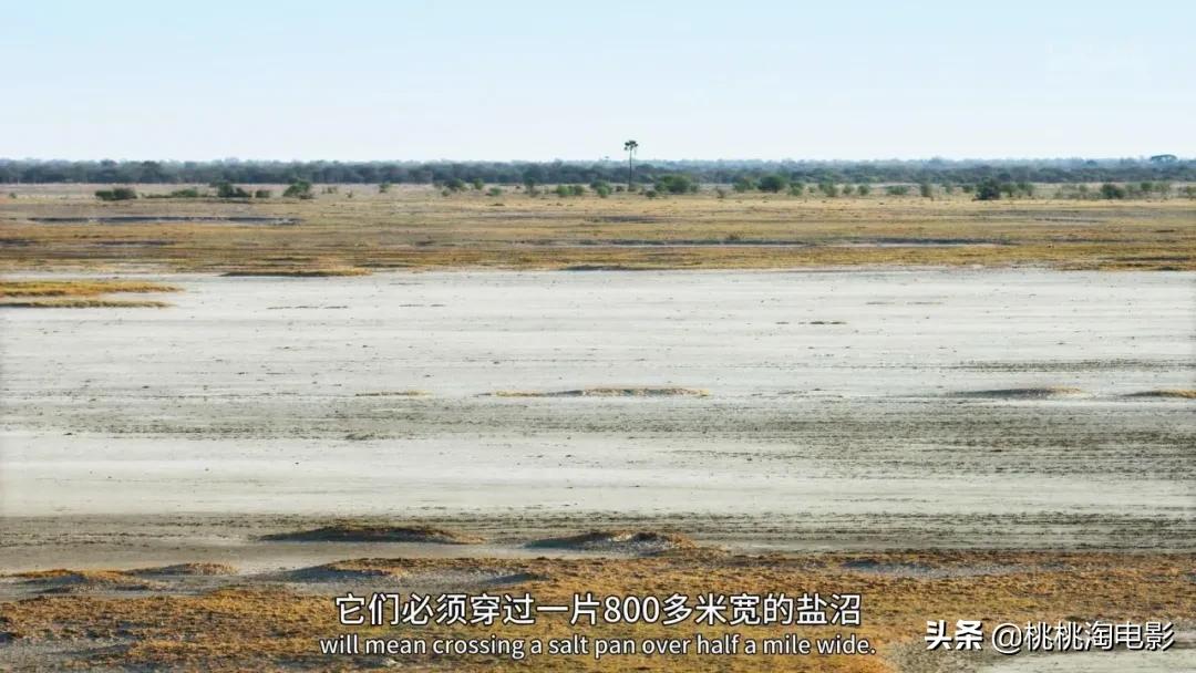 bbc纪录片最值得看的,bbc神级纪录片豆瓣评分超9