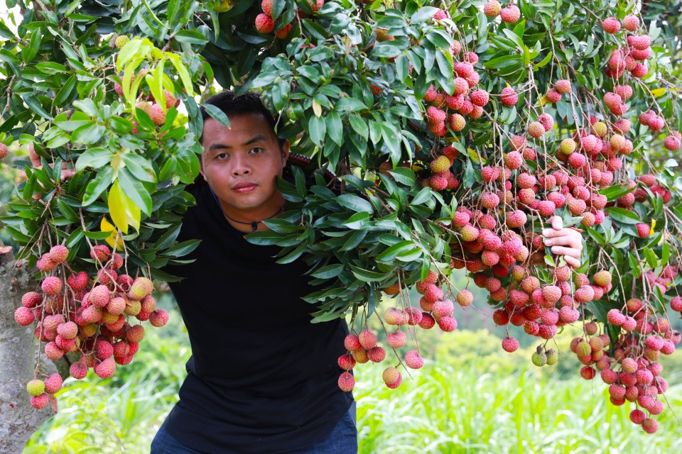 文蕴秀岭，馨怡乐园｜廉江文秀岭农牧场散记