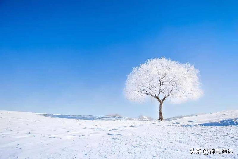 五轮书的启示和感悟,五轮书视频讲解