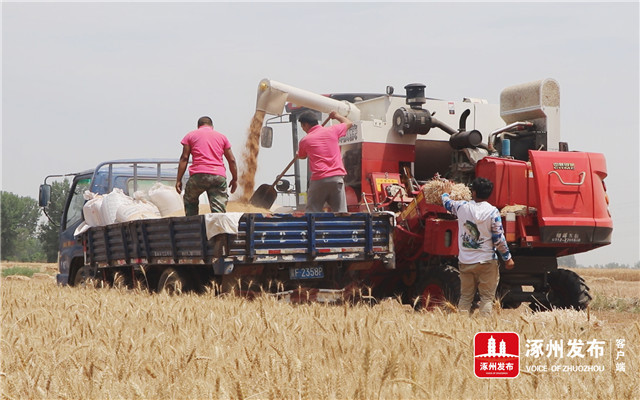 风正好扬帆奋进正当时宣传片,风正起扬帆正当时