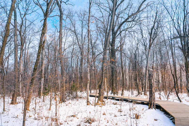 冰雪总动员简介,冰雪总动员