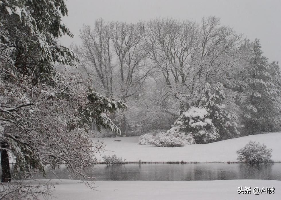 美国十大适合居住的州,美国每个州最佳居住地