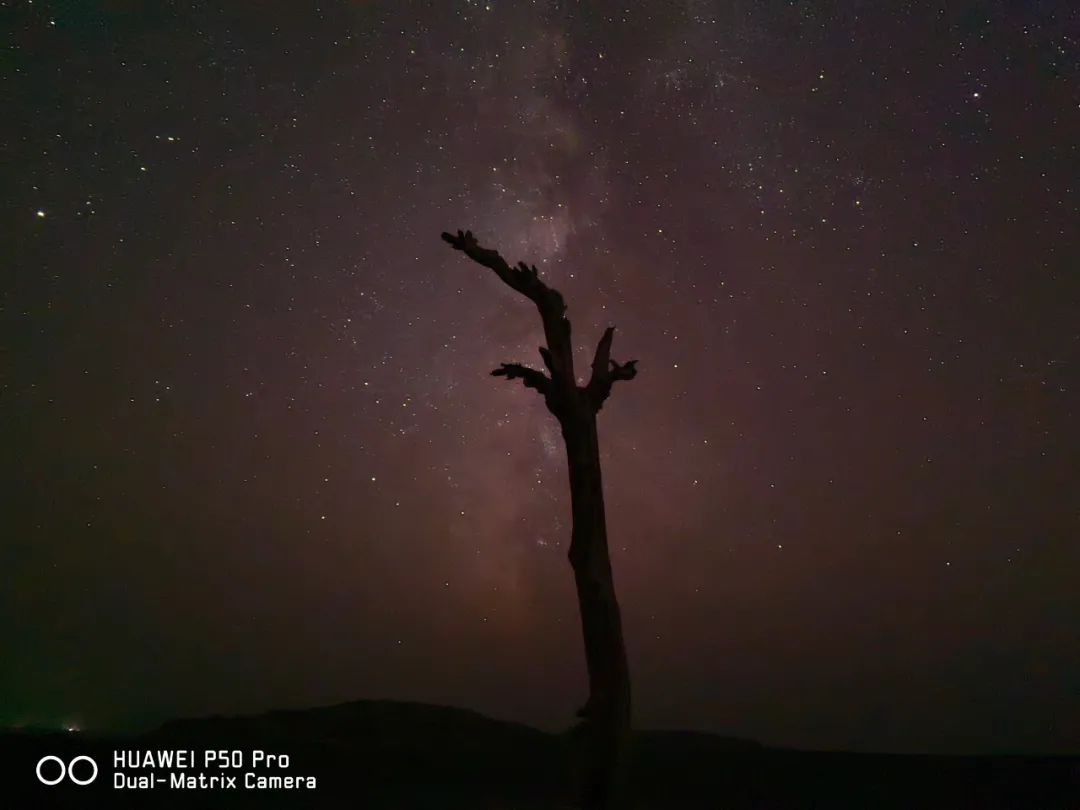 iphone13pro拍照对比vivox70pro,iphone13拍照对比vivox70pro