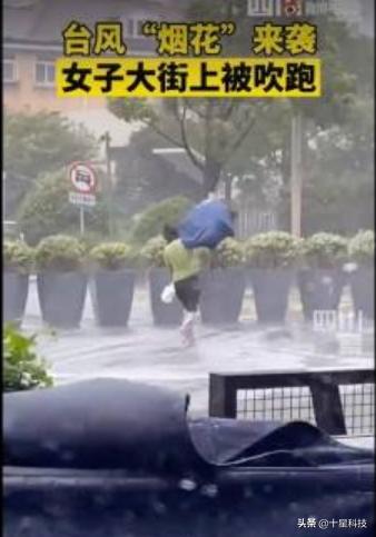 玉米不一样的品种可以混播吗,玉米混播高产吗