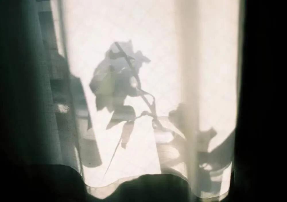 成功不是靠运气而是靠方法,一个人的心智模式决定了他的命运