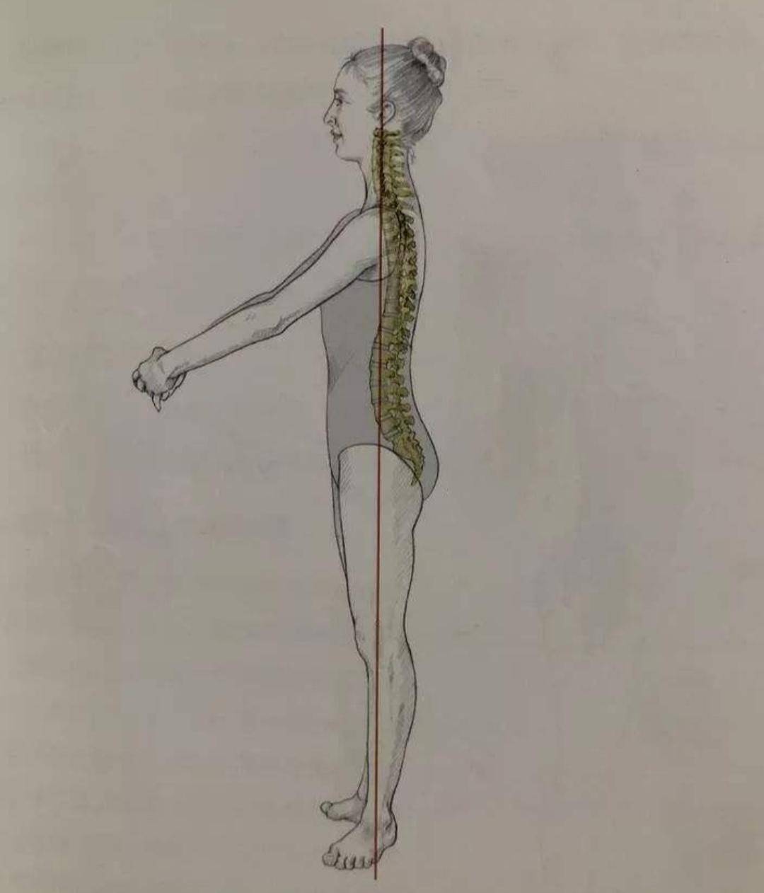 小腿粗壮按摩小腿会变瘦吗,怎么按摩小腿让小腿瘦下