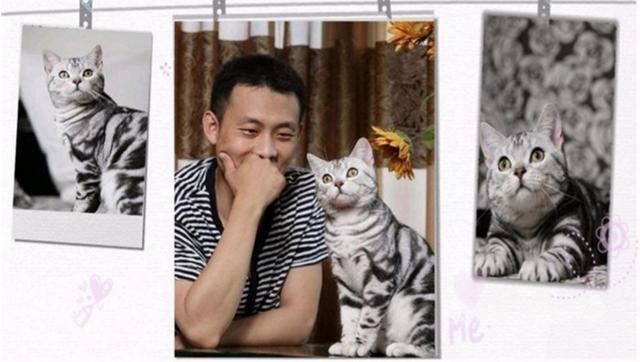 男明星为何喜欢养猫,为什么都说男生不能养猫