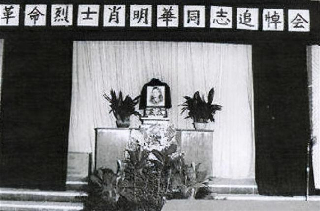 萧明华英勇事迹,萧明华最新视频