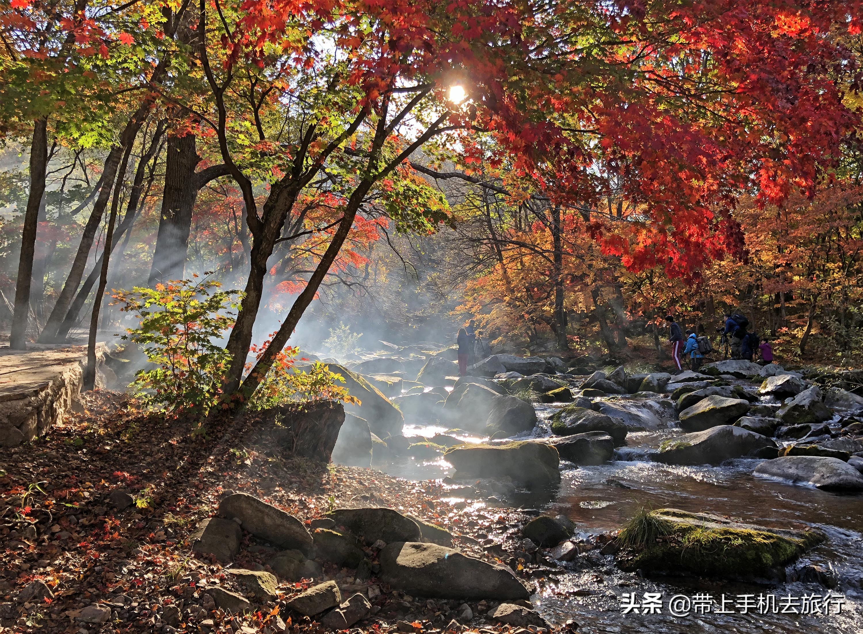 iphone13promax导出照片到电脑,iphone12怎么用usb共享网络给电脑