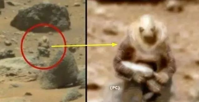 2020年最好的科幻片,2050科幻片预言