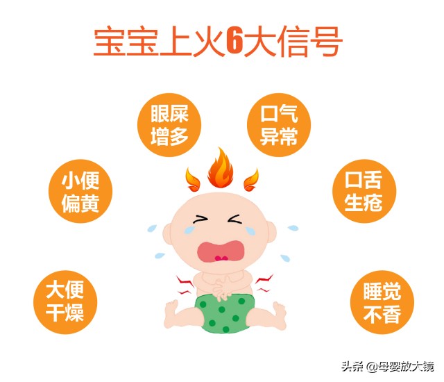 菊花晶清火宝都是固体饮料吗,菊花晶与清火宝的区别