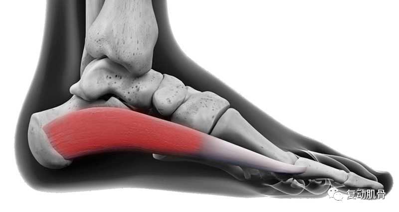 怎样分解八字求详细解说,解读八字教学