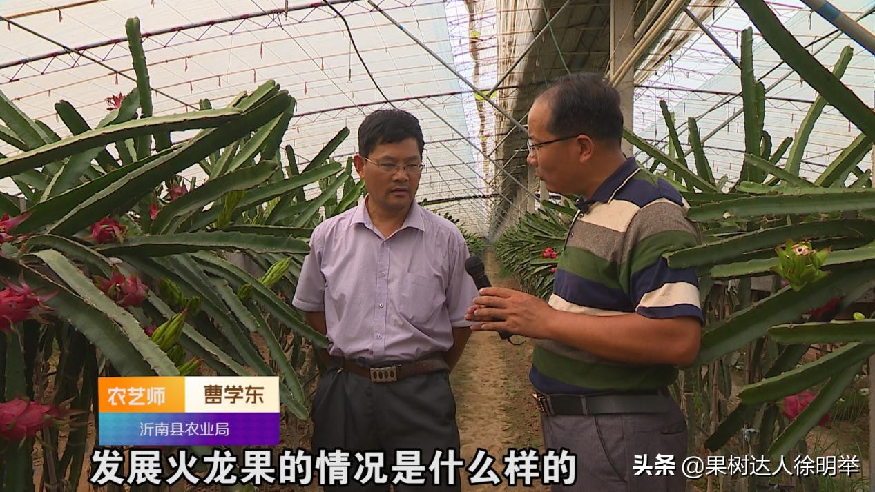 老徐谈农业好视频,老徐带你逛果园