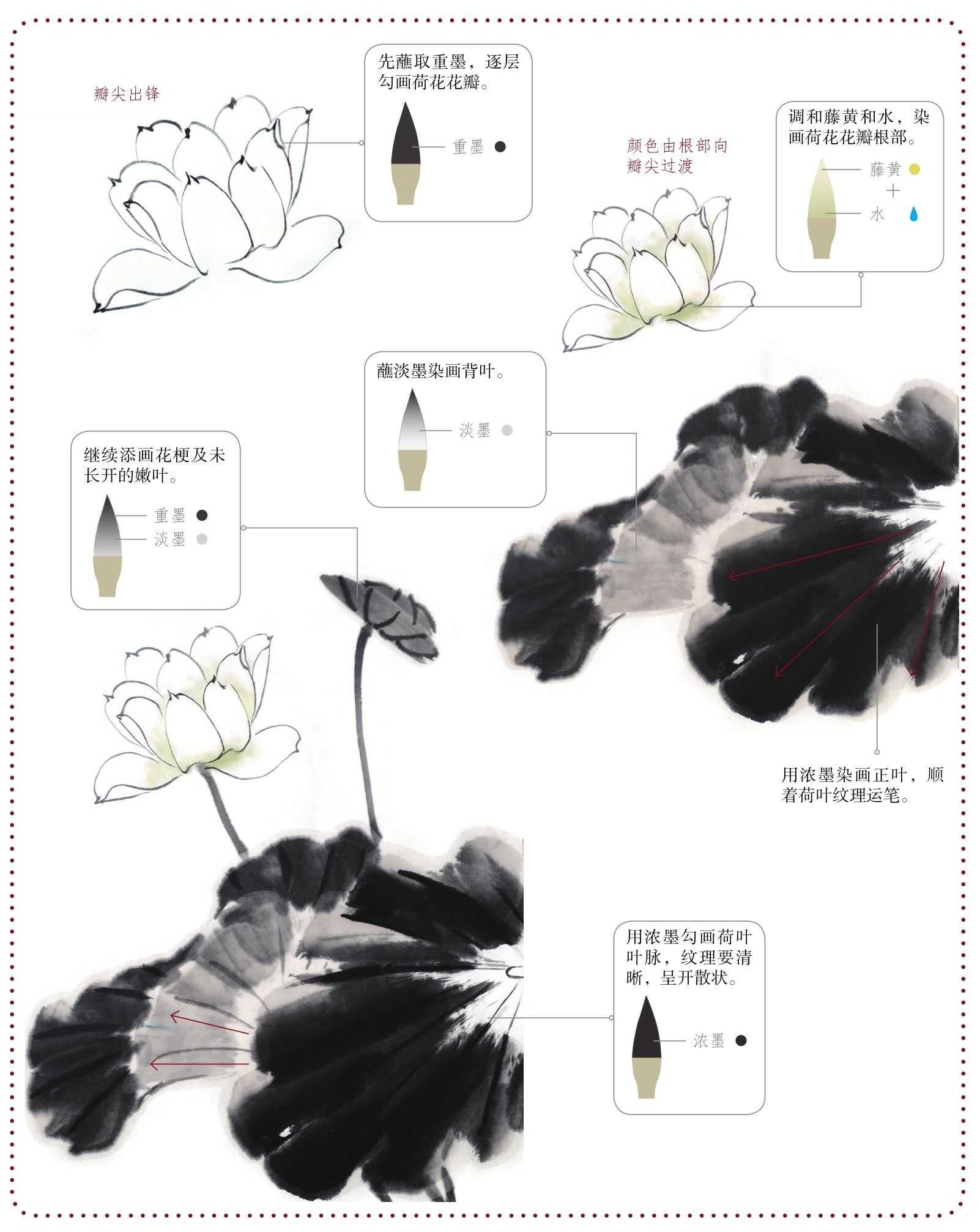 荷花荷叶组合画法,荷花组合教程完整版