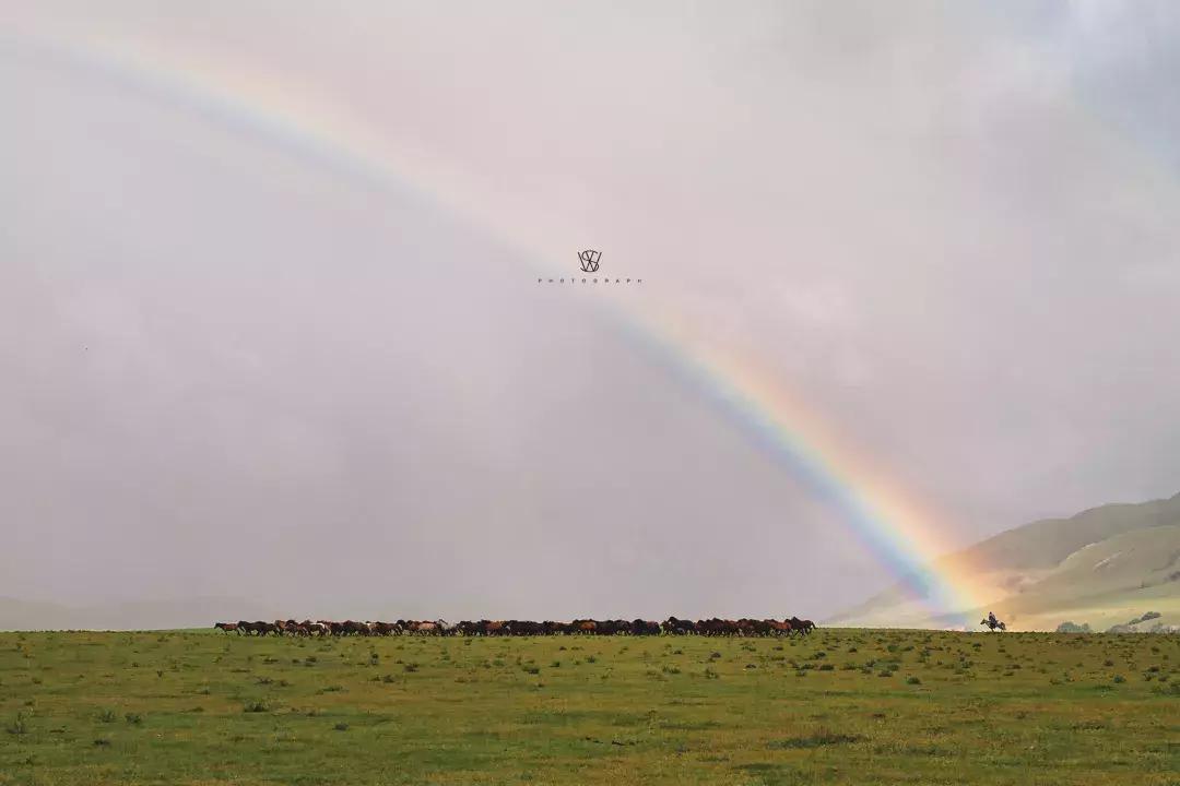 途达探索之旅,途达探索之旅完整版