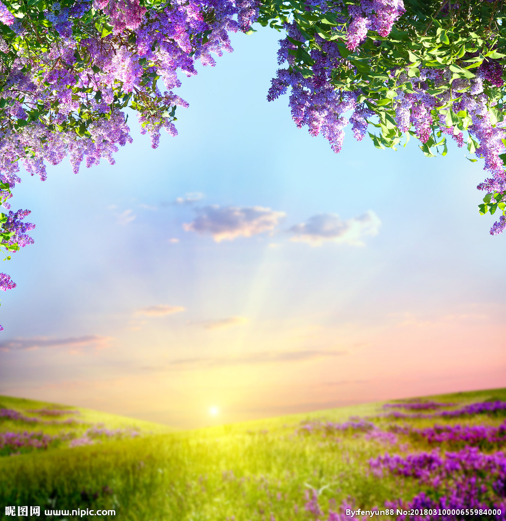 女人如何规划自己的人生,37岁如何规划自己的人生