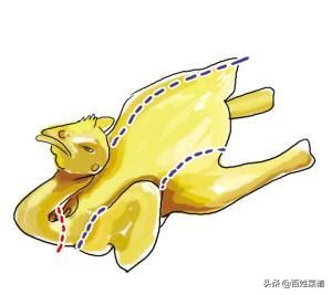 切菜刀法基本手法,切菜刀法练习入门