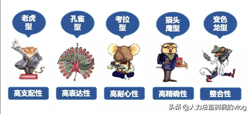 职场pdp性格测试,pdp性格测试结果分析