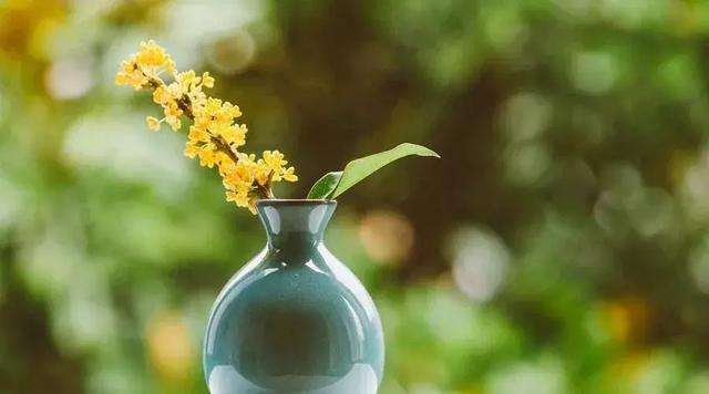 中医讲不寐,中医说不寐病是什么病