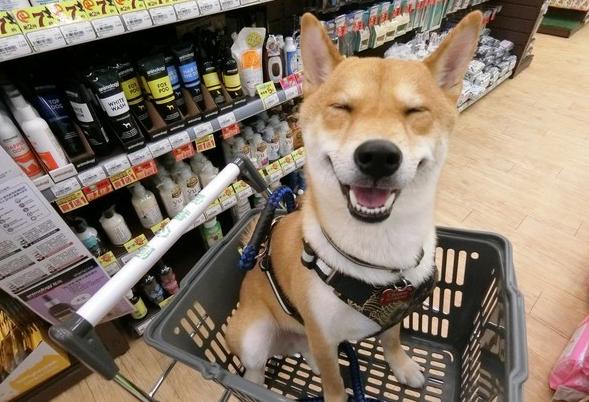 被挑衅最后忍无可忍后续,被挑衅到忍无可忍