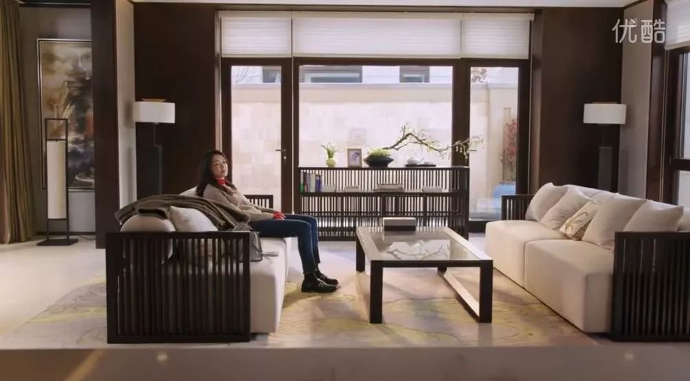 都挺好苏明玉第二套别墅,都挺好苏明玉把小咪接到豪宅