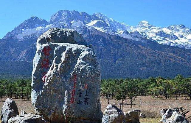 无标题文章解说 (无标题文章解决方法)