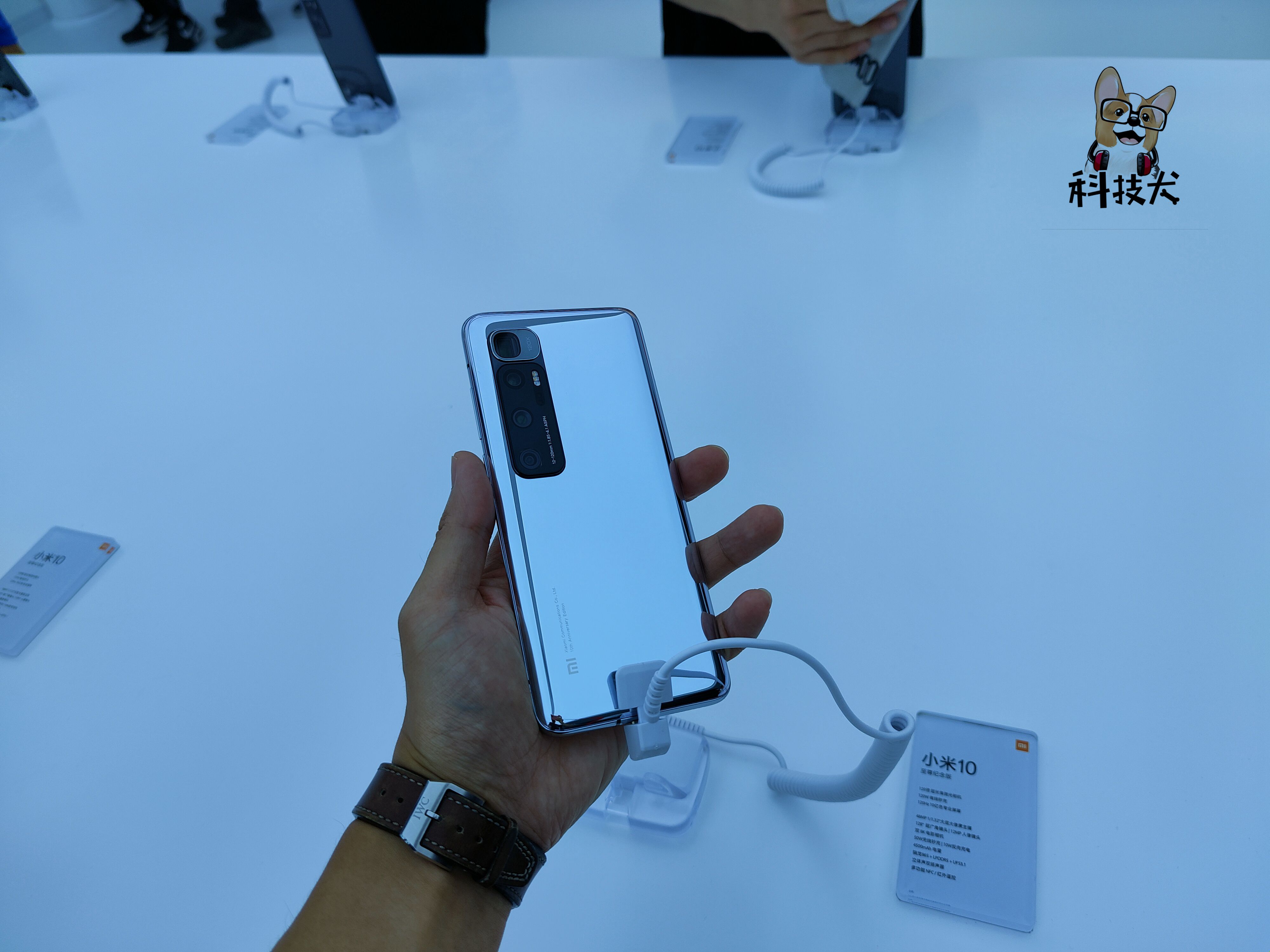 小米科技犬推荐,雷军小米极致爆款