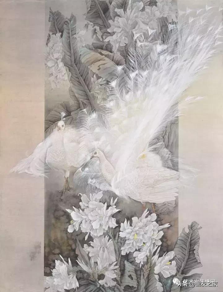 工笔孔雀上色步骤详解,工笔最顶级逼真孔雀画精品