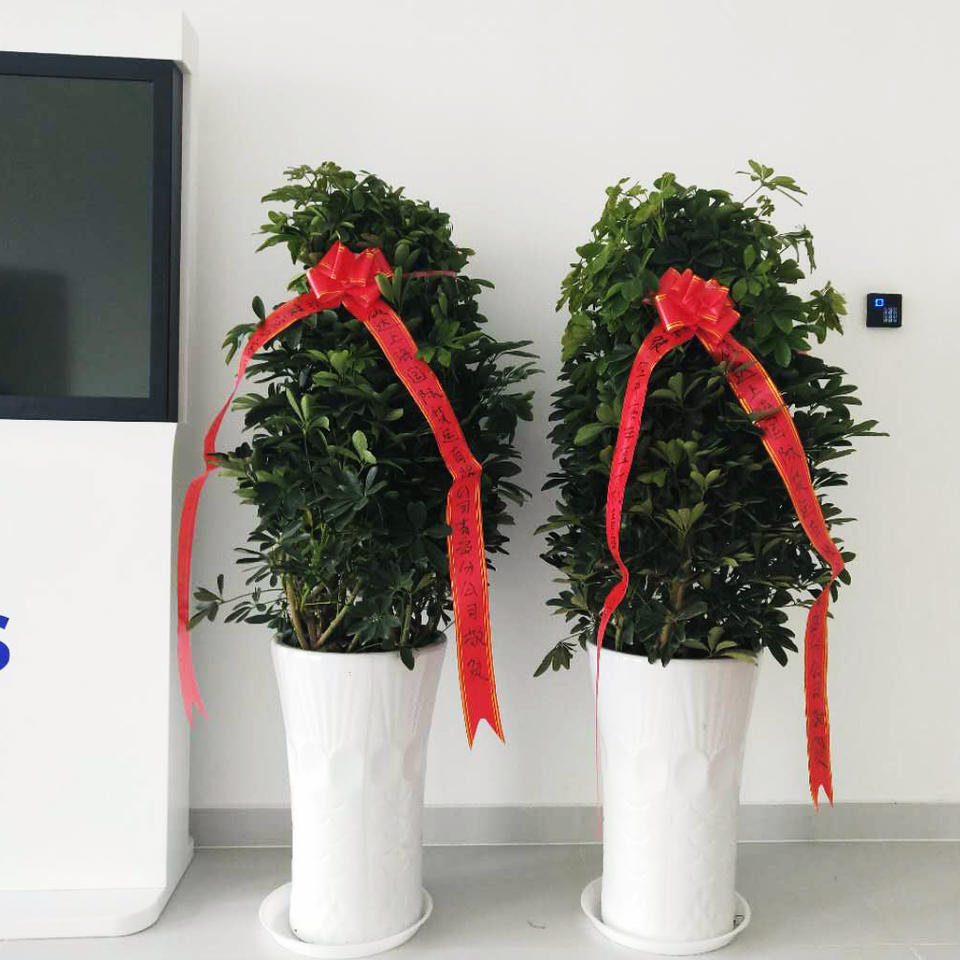 太原朋友店开业送什么礼物,青岛朋友开店都送什么